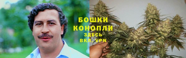 spice Алзамай