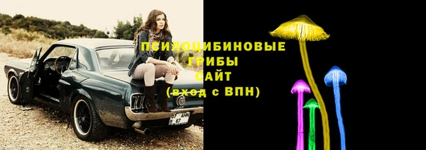 spice Алзамай