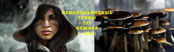 сатива Алексин