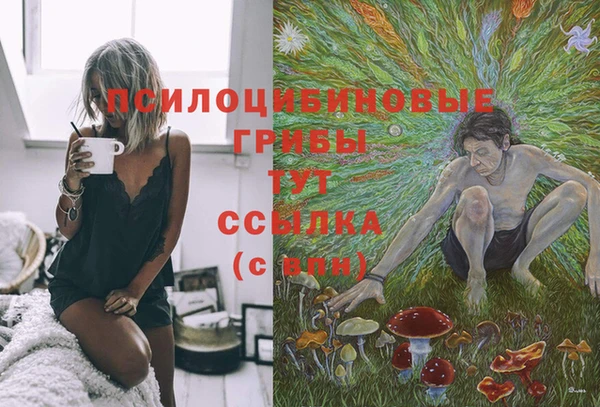 сатива Алексин