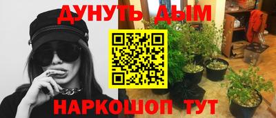 PSILOCYBIN Гагарин