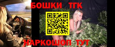 Альфа ПВП Гатчина