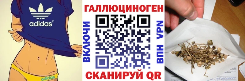 Псилоцибиновые грибы мицелий  как найти наркотики  Прохладный 
