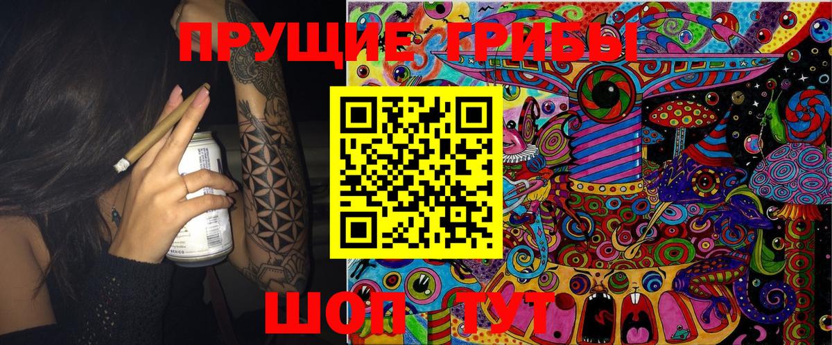 Галлюциногенные грибы Cubensis  Галлюциногенные грибы GOLDEN TEACHER  Вход с VPN  Прохладный 