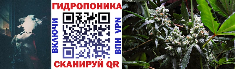 Канабис OG Kush  Прохладный 